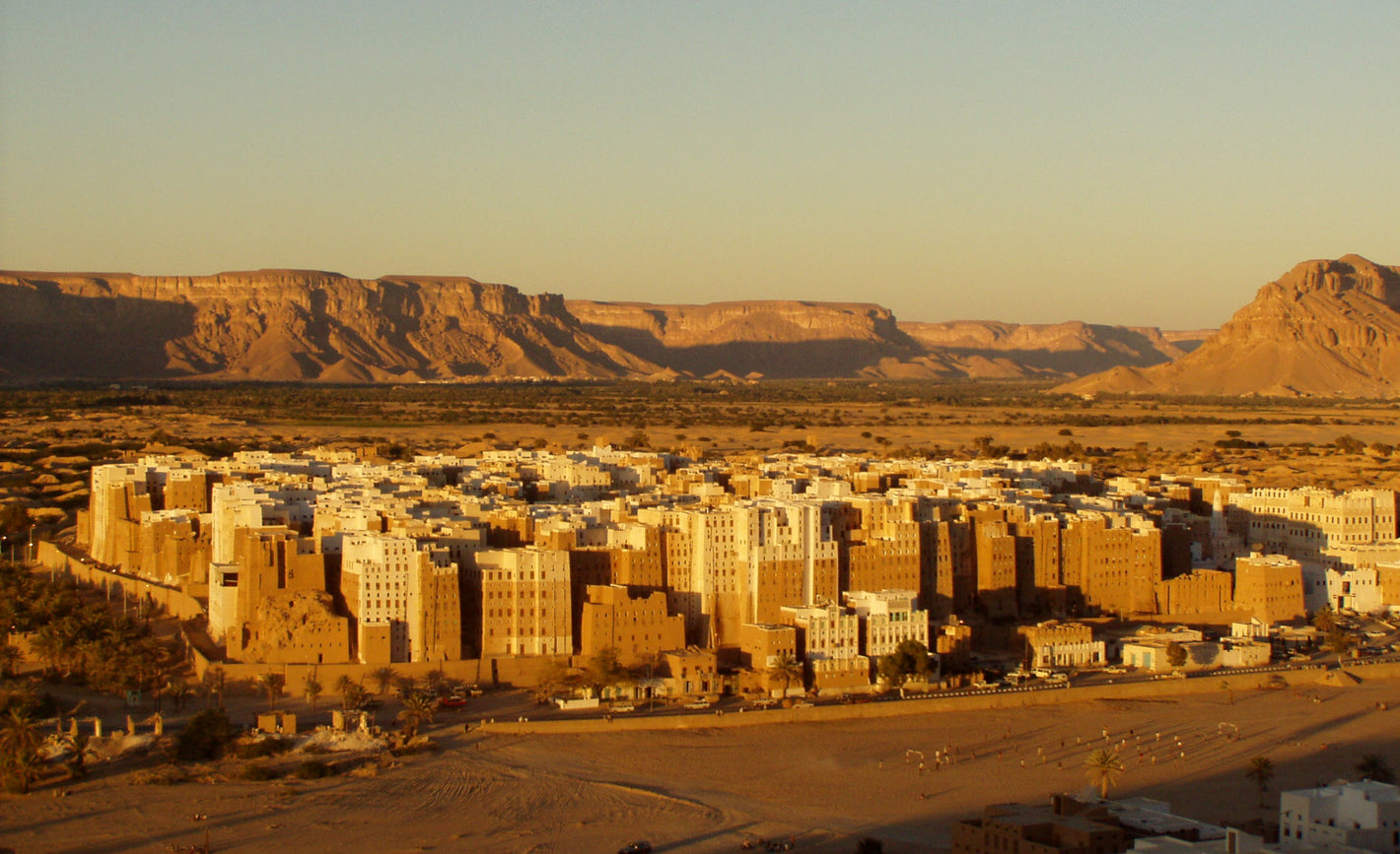 Yemeni Sidr Honey, Direct From Our Beekeepers in Wadi Doan, Hadramout, Yemen