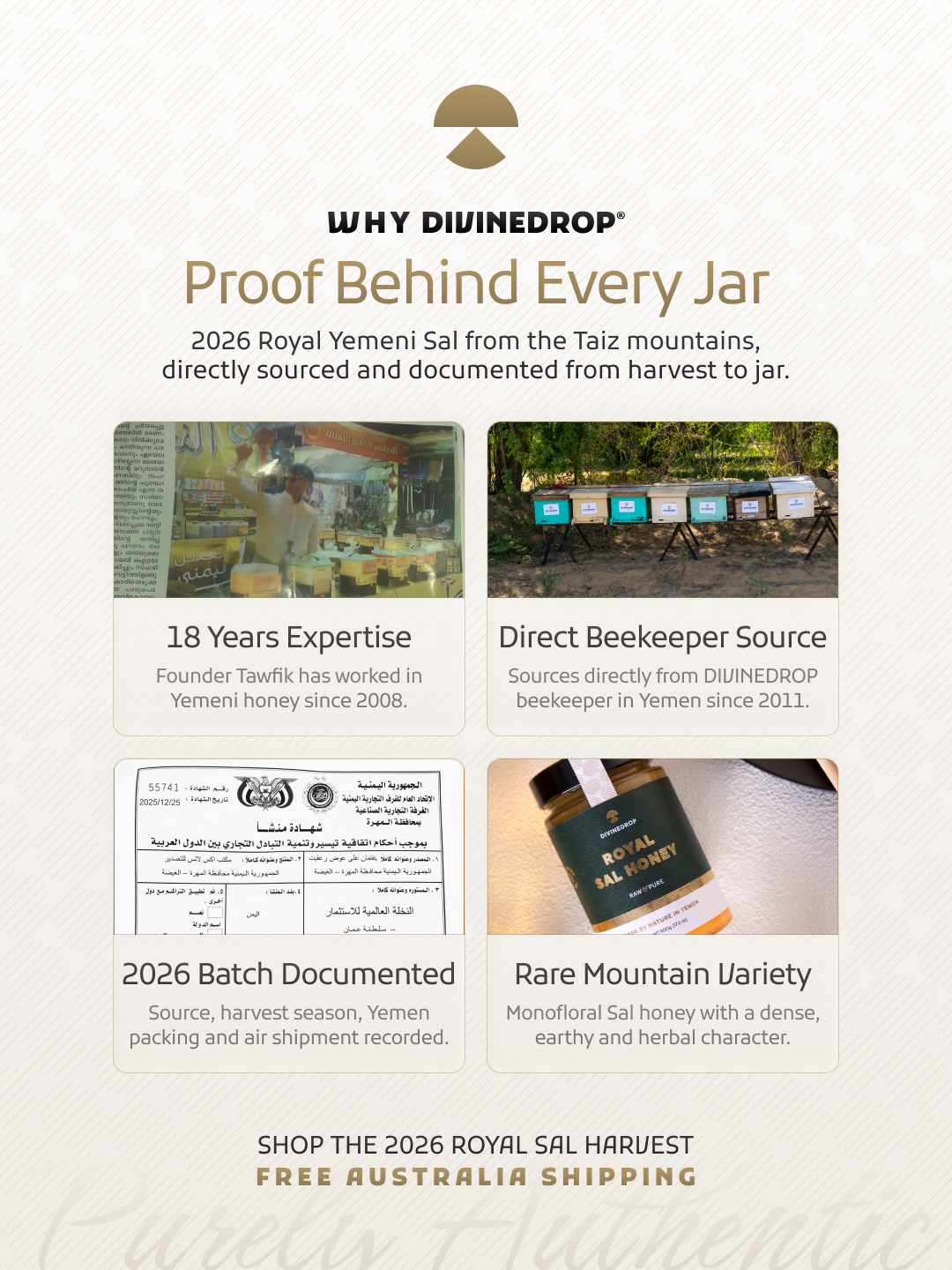 An informational marketing graphic for DIVINEDROP'S 2026 Royal Yemeni Sal, featuring four text-and-photo panels explaining sourcing, expertise, documentation, and variety. The design uses a warm beige background with brown and black text and a small product jar icon at the top.