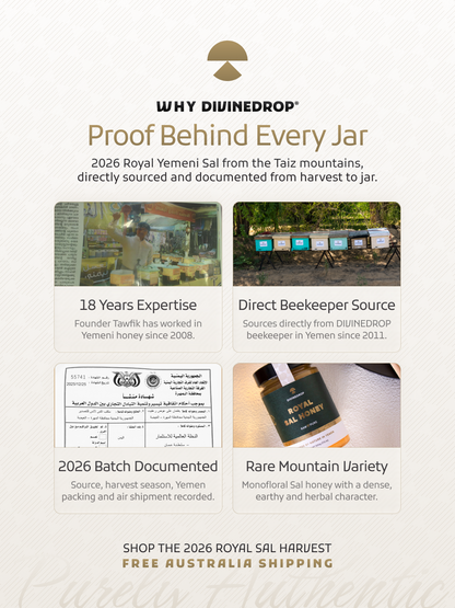 An informational marketing graphic for DIVINEDROP'S 2026 Royal Yemeni Sal, featuring four text-and-photo panels explaining sourcing, expertise, documentation, and variety. The design uses a warm beige background with brown and black text and a small product jar icon at the top.