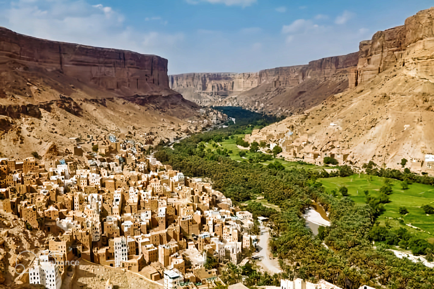 DivineDrop Yemeni Honey | Doa'n Valley, Hadramout